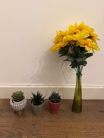 Photo of free Fake plants and pots (E8) #1