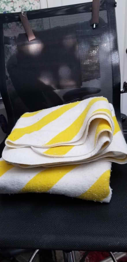 Photo of free Beach/picnic blanket (Barron Park) #1