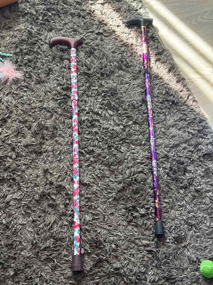 Photo of free walking sticks (BS7) #1