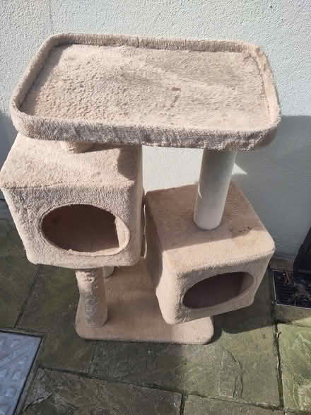 Photo of free Cat ‘Tree' (Phibsboro) #1
