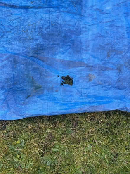 Photo of free Tarpaulin (Paulton BS39) #2