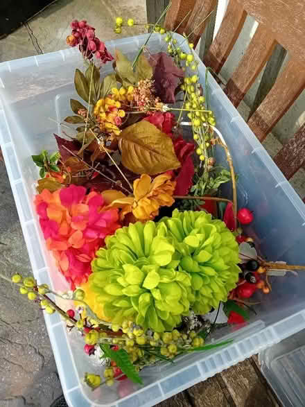 Photo of free artifical flowers (Oxford ST6) #1