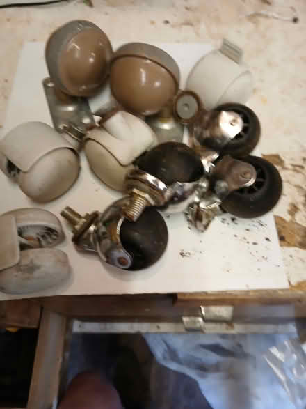 Photo of free Castors (B61 9HP Bournheath) #1
