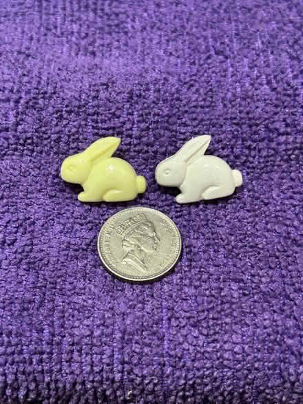 Photo of free Bunny rabbit buttons (Writtle CM1) #1