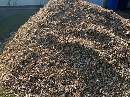Photo of free Wood chips (IP8) #1