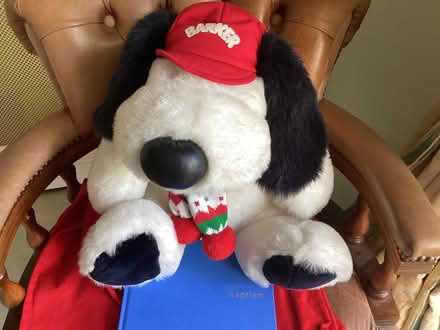 Photo of free Soft toy (Hanley Swan WR8) #1