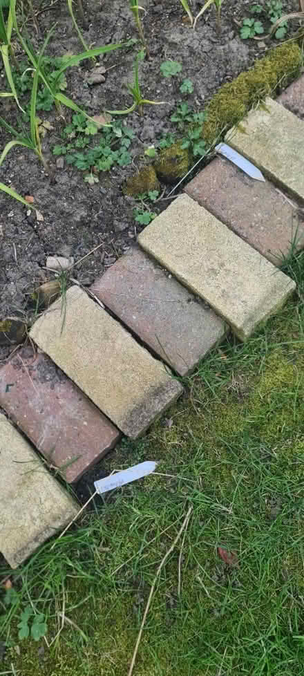 Photo of Block Pavers (Leigh) #1
