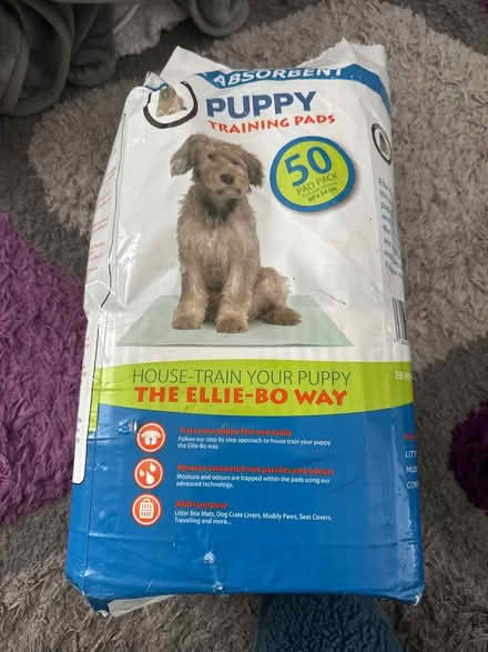 Photo of free Puppy training pads (High Wycombe HP12) #1