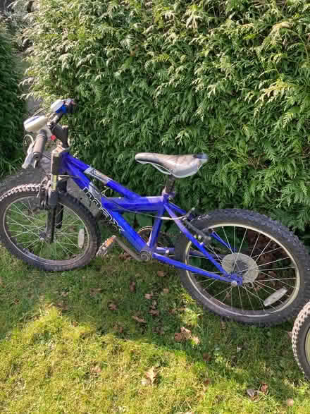 Photo of free Bicycles x2 (Herefordshire HR2) #2