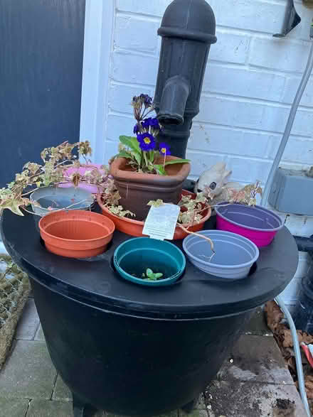 Photo of free Outdoor planter (Coulsdon, nr, train station) #2