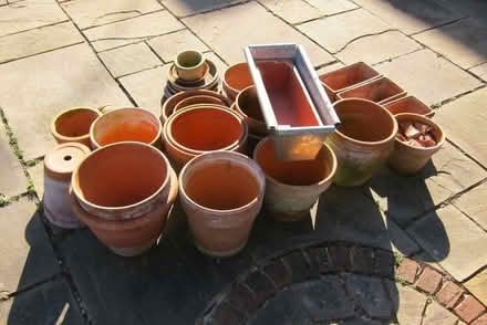 Photo of free Flowerpots etc. (Aldwick PO21) #3