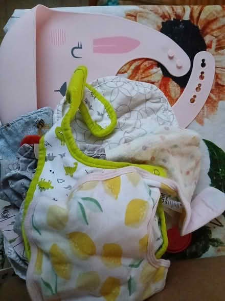 Photo of free Bibs (East Madison) #1