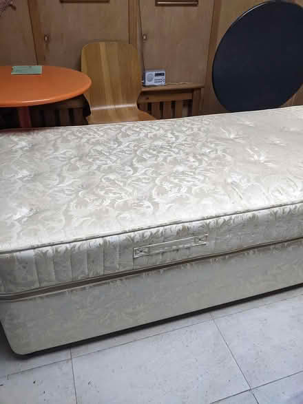 Photo of free 3ft divan bed (Tavistock) #1