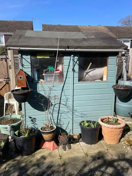 Photo of free Shed 6ft by 6ft6 (Northolt Avenue CM23) #2