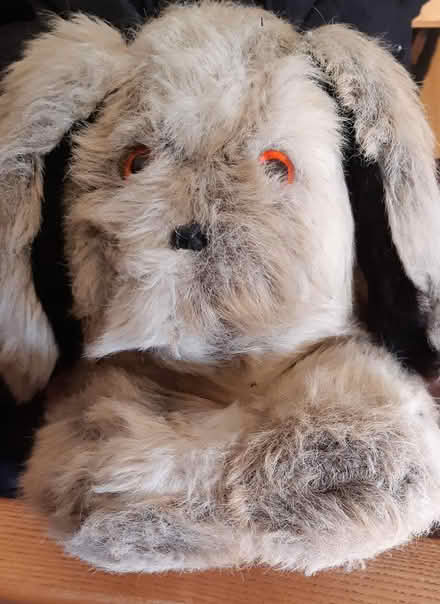 Photo of free Large Toy Dog (Forest Hill SE23) #1