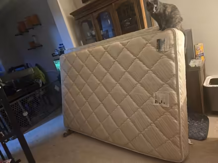 Photo of free Full Size Mattress and Box Spring (Winchester) #1