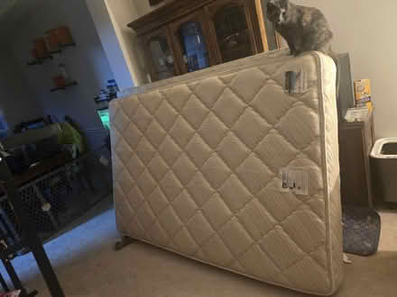 Photo of free Full Size Mattress and Box Spring (Winchester) #1