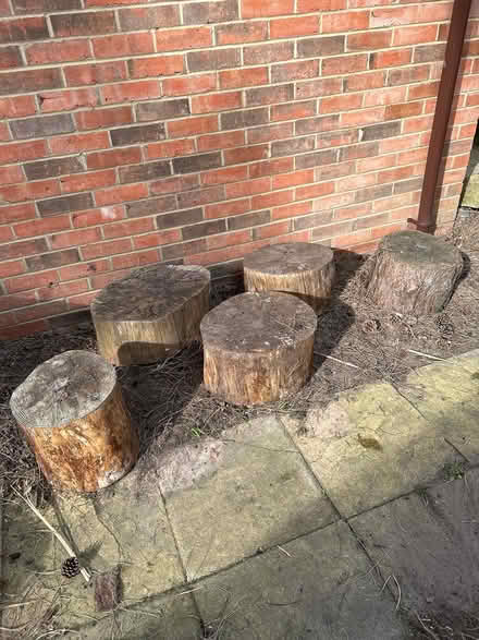 Photo of free Tree trunk pieces x 5 (West Kirby) #1