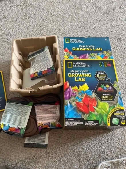 Photo of free Growing lab (Rockville, MD) #1
