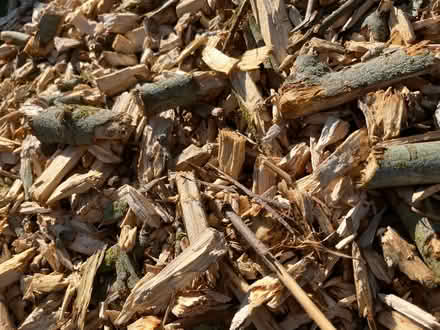 Photo of free Wood chips (IP8) #2