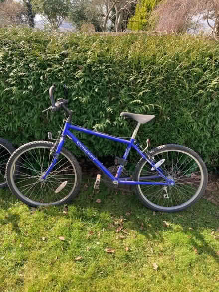 Photo of free Bicycles x2 (Herefordshire HR2) #1