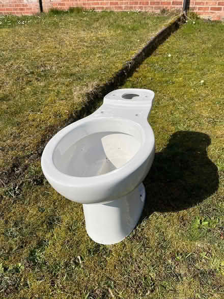 Photo of free Brand new toilet (Hednesford WS12) #1