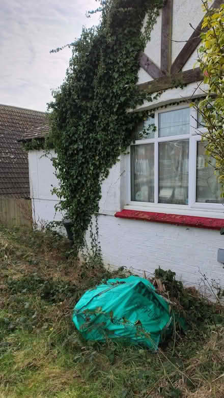 Photo of Weed tank sprayer (Pebsham TN40) #1