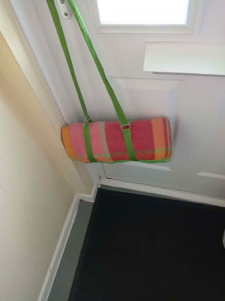 Photo of free Picnic blanket. (Pin Green SG1) #1