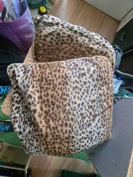 Photo of free 2 cushions (Peopleton WR10) #1