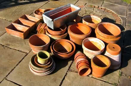 Photo of free Flowerpots etc. (Aldwick PO21) #1