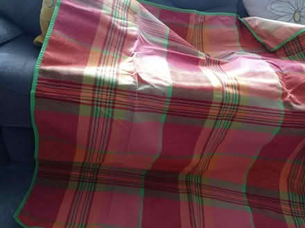 Photo of free Picnic blanket. (Pin Green SG1) #2