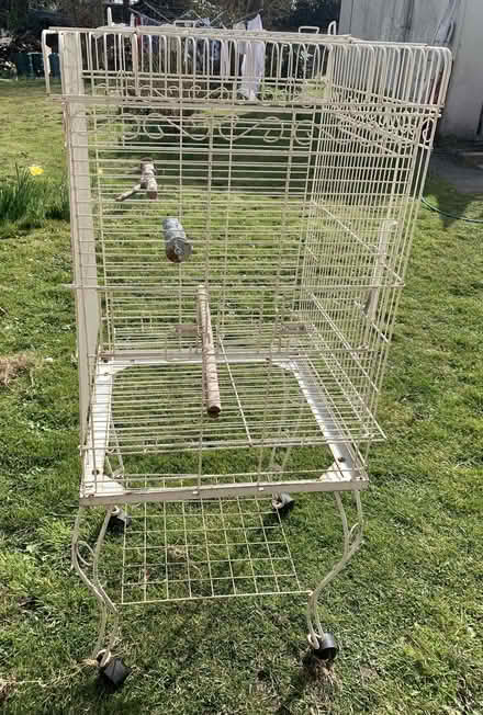 Photo of free Parrot Bird Cage 74cm h x 50cm x 50cm on 55cm high stand (Sloley NR28) #1