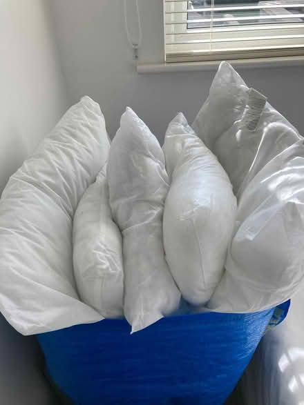 Photo of free Cushions Fillers (Kimmage) #1