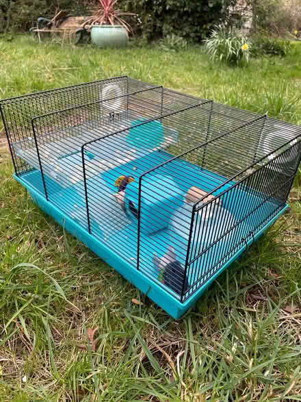 Photo of free Hamster cage (Brightwell cum Sotwell OX10) #1