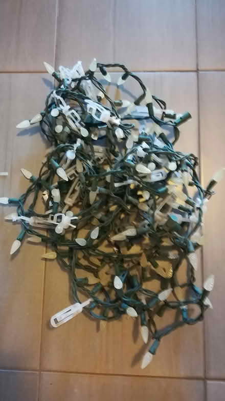 Photo of free 2 rows of outdoor Christmas lights (Finley Creek) #1