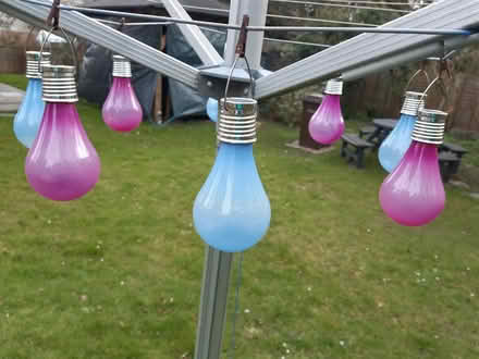 Photo of free 8 solar light bulbs (Parsons Heath, CO4) #1