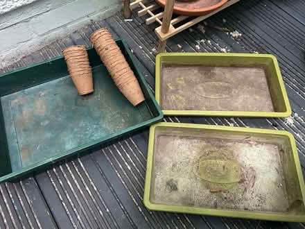 Photo of free 3 seed trays and seed sells (Far Cotton, Northampton) #1