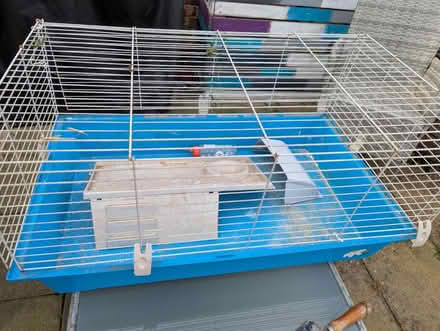 Photo of free Guinea Pig/Rodent cage (Arnold NG5) #1