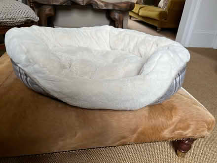 Photo of free Dogs bed (Grove Rd Windsor SL4) #2