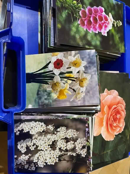 Photo of free box of photographs for craft projec (Emsworth PO10) #1