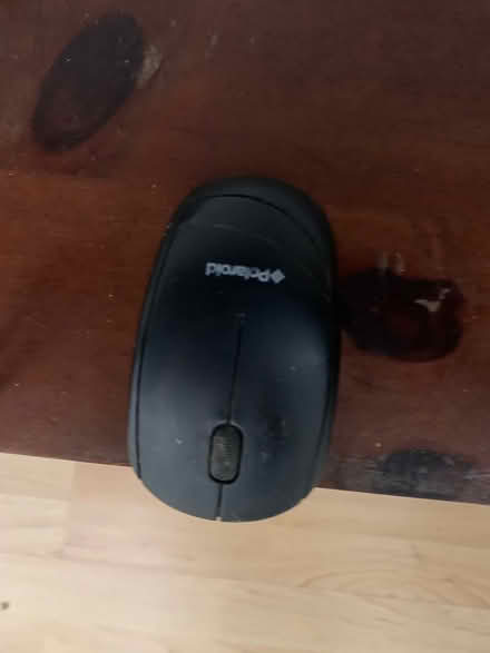 Photo of free Mouse (CB1) #1