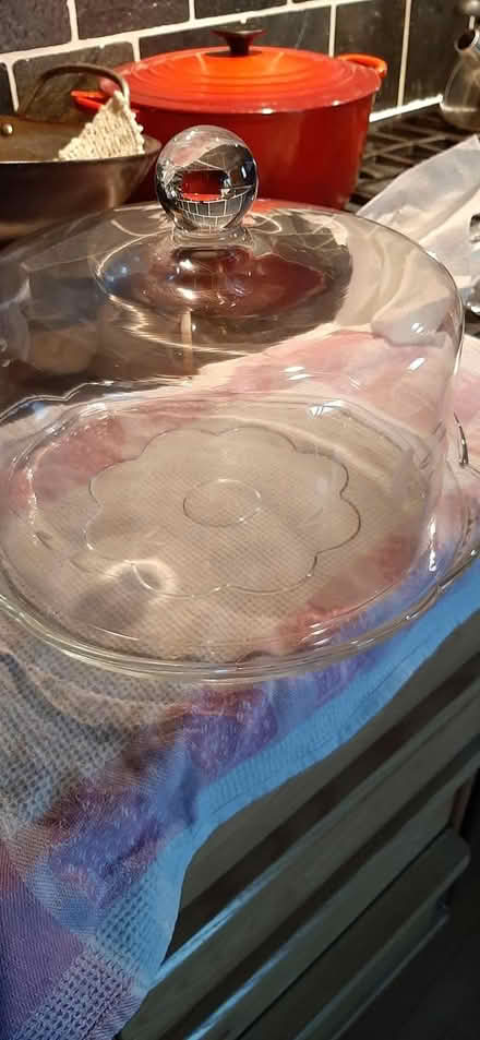 Photo of free cake display (Downtown Guelph) #1