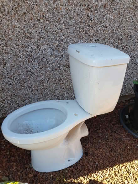 Photo of free New toilet (Torrisholme LA3) #1