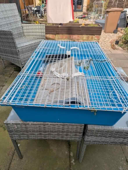 Photo of free Guinea Pig/Rodent cage (Arnold NG5) #2