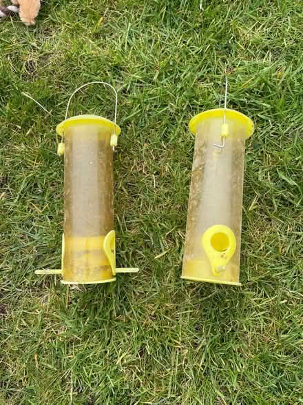 Photo of free Peanut bird feeder (L30) #1