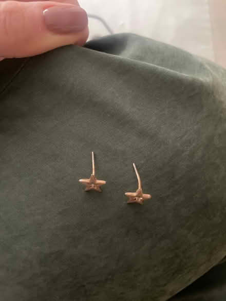 Photo of free Rose gold plated star earrings (SW11) #4