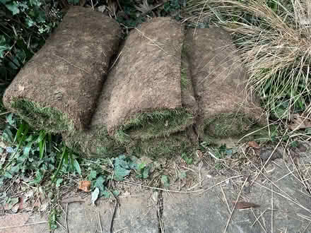 Photo of free 5 rolls turf - 5 square metres (OX4 near Donnington Bridge) #1