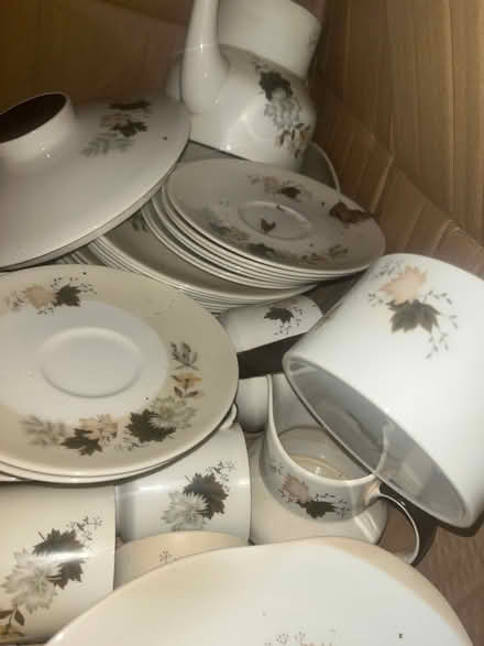 Photo of free Lots of ceramics Westwood (Oswestry) #1