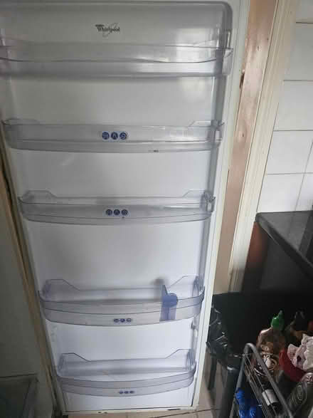 Photo of free Tall Fridge (Ilford) #3