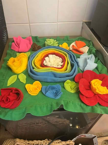 Photo of free Snuffle Mat (Morden SM4) #1